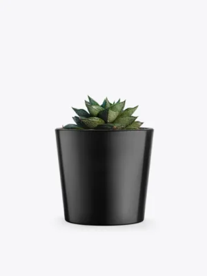 product-image-3_optimized Augue Neque